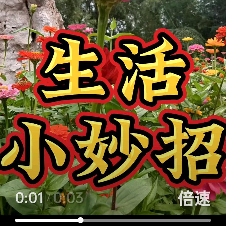 派丸子