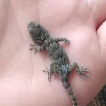 ღ᭄沉默ℒོ࿆ᩚᩚ💕4801