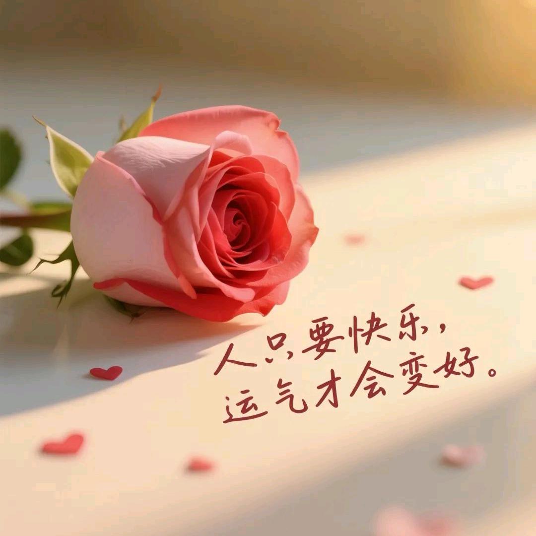 乐乐🕊᭄互涨🍒