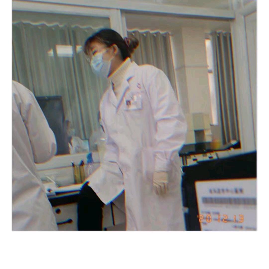 小马不吃香菜