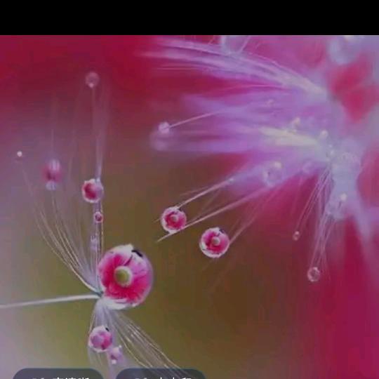 🌻快乐的微笑🌹