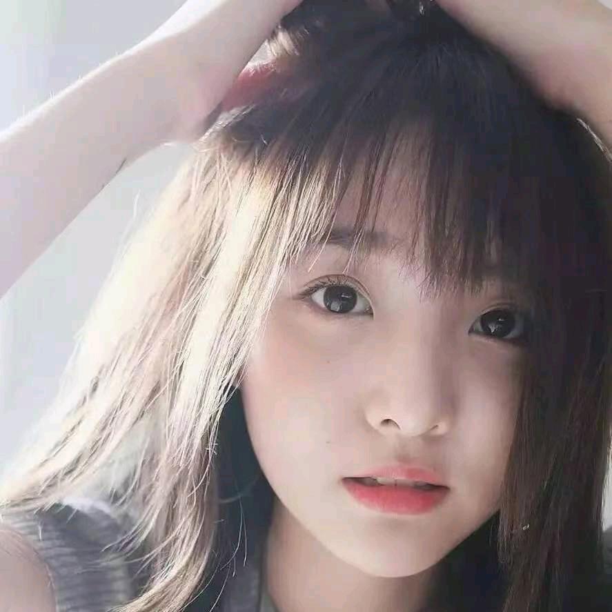 小宝@