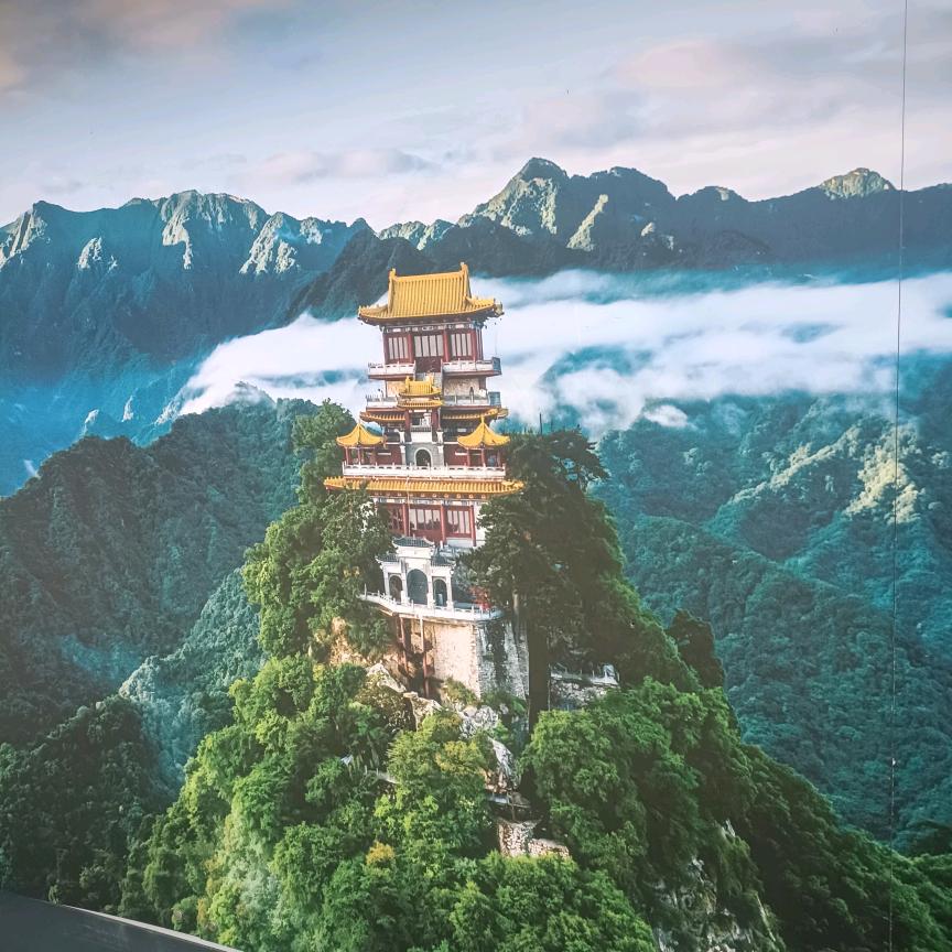 浪迹天涯