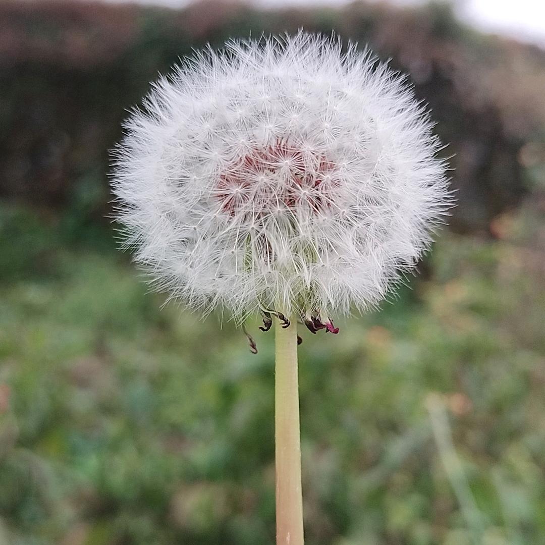 🌻ღ᭄ꦿ꯭小钱景დ᭄💋