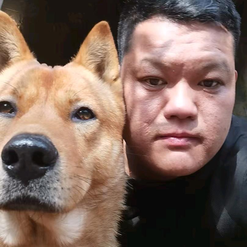 《 梅 麻 浆 》家禽土狗养殖