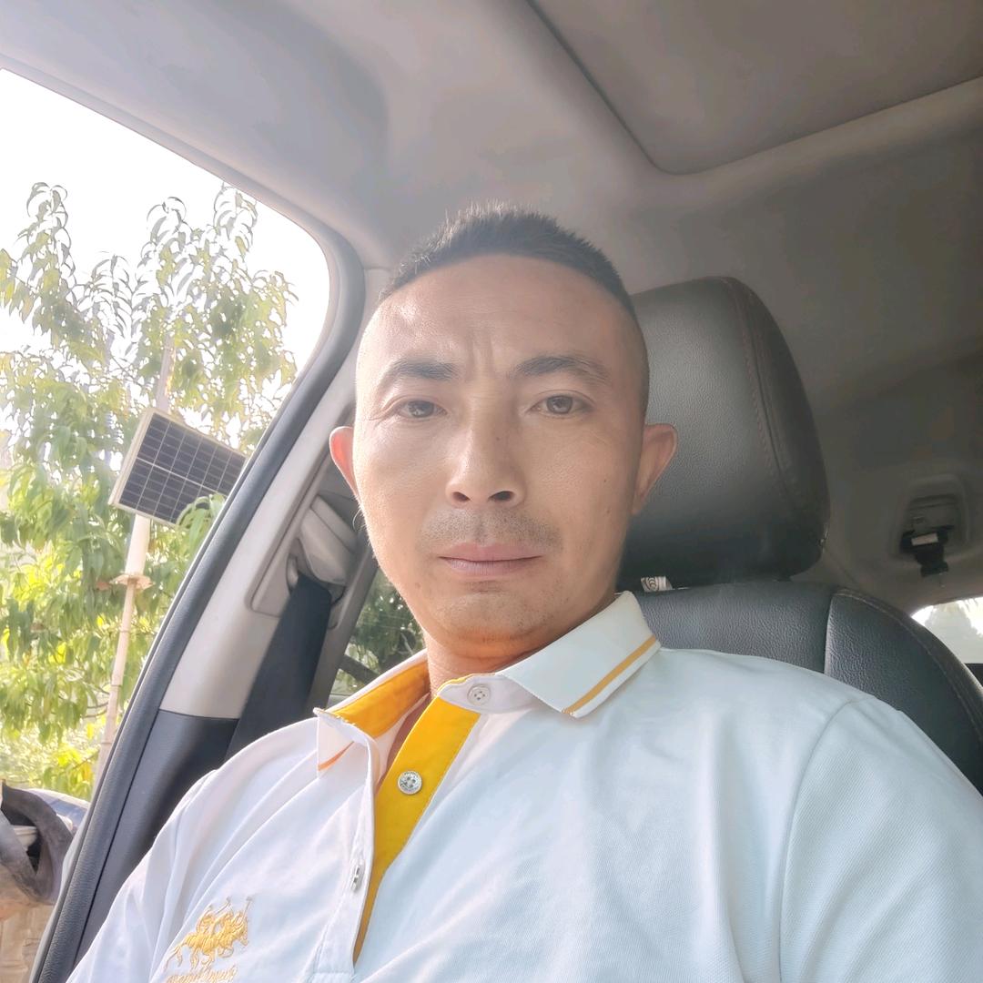 像梦一样飞翔
