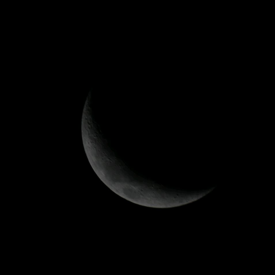 张张(˶ᵔᵕᵔ˶)