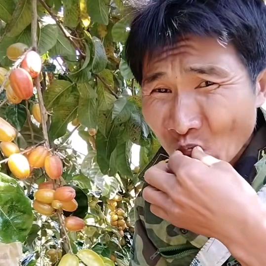 农村小李弟