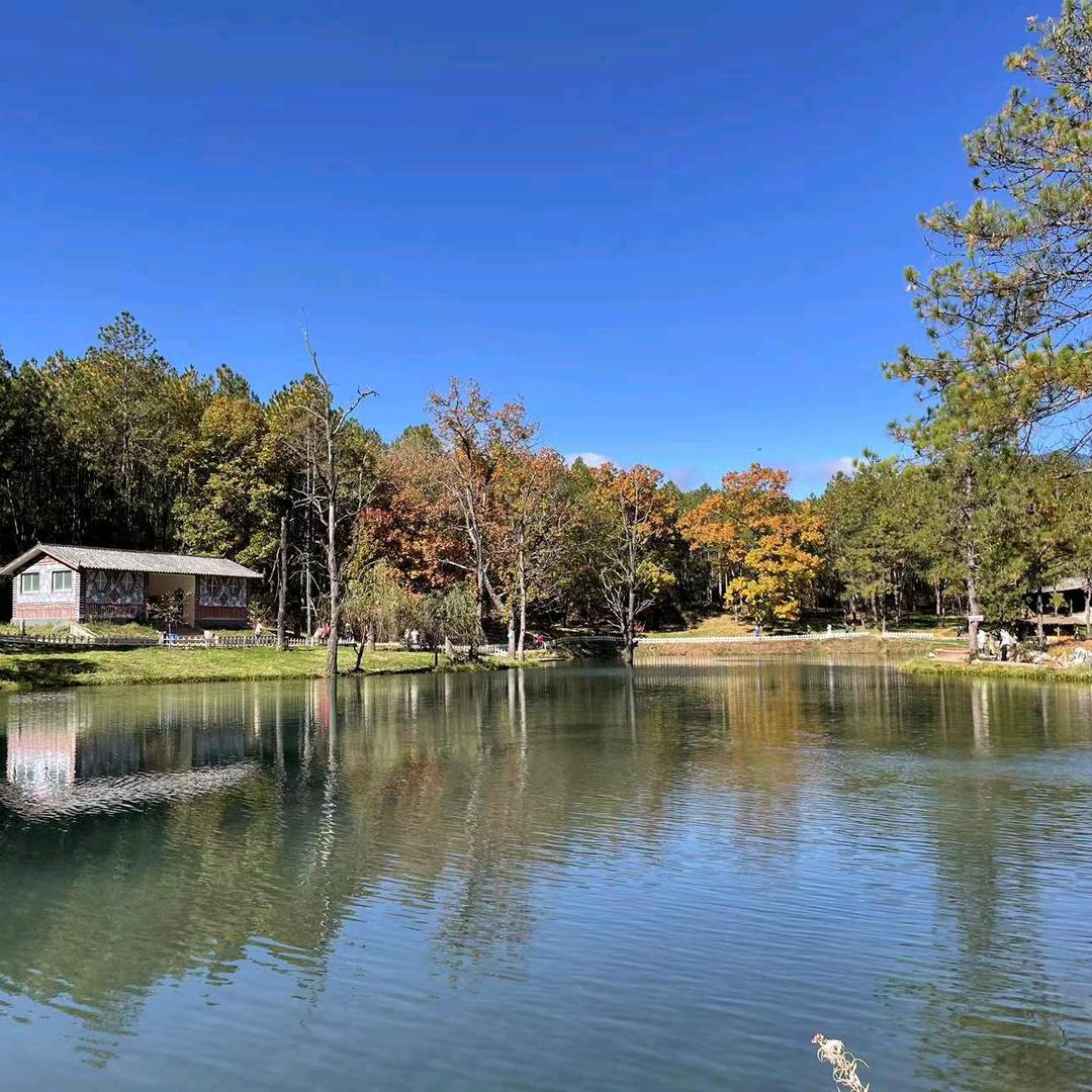 人到中年69/524🐔