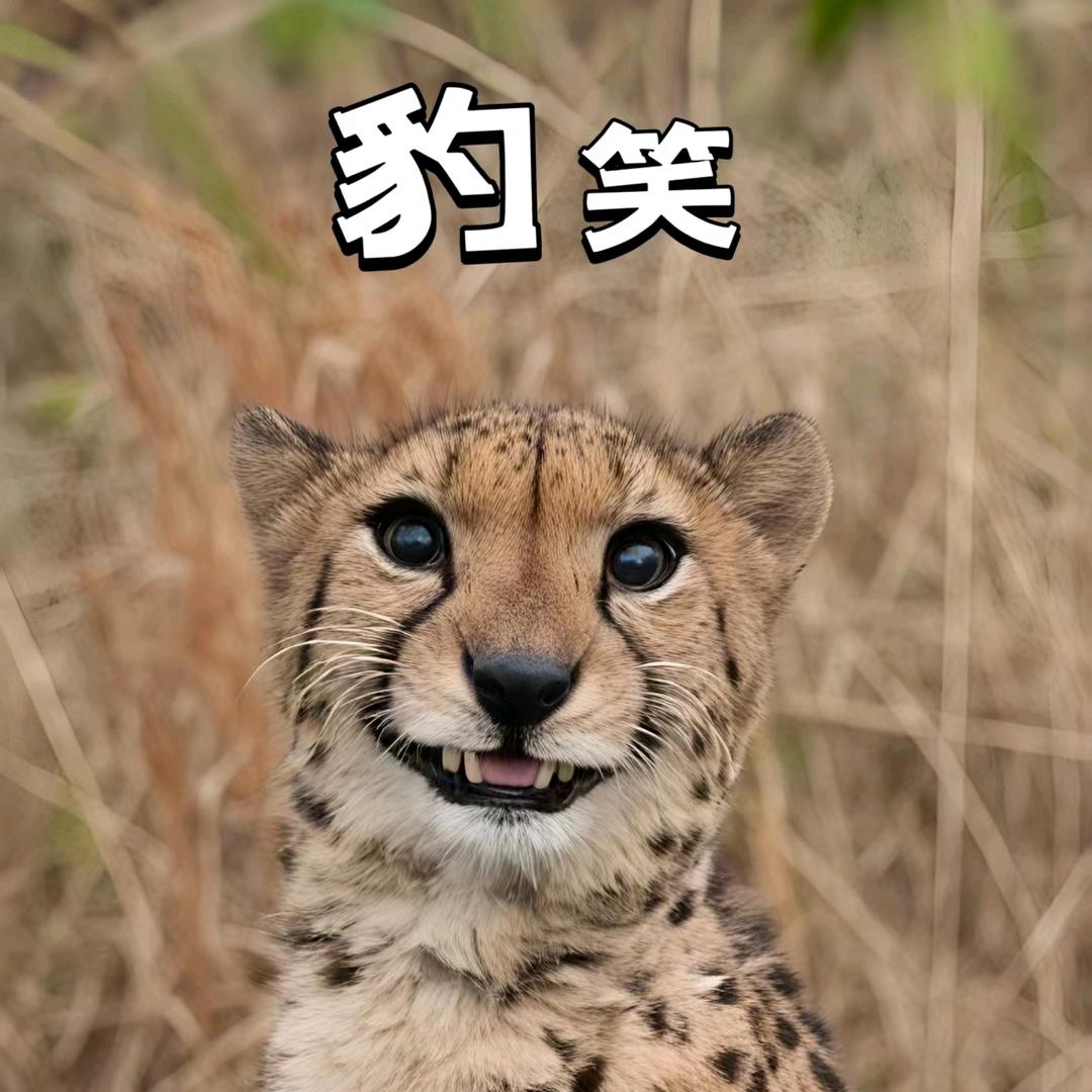 白墨