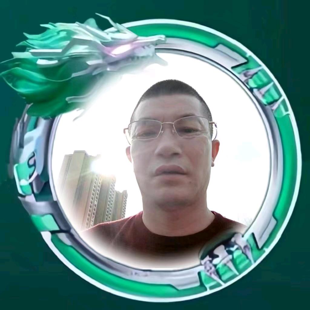 龙闯天涯