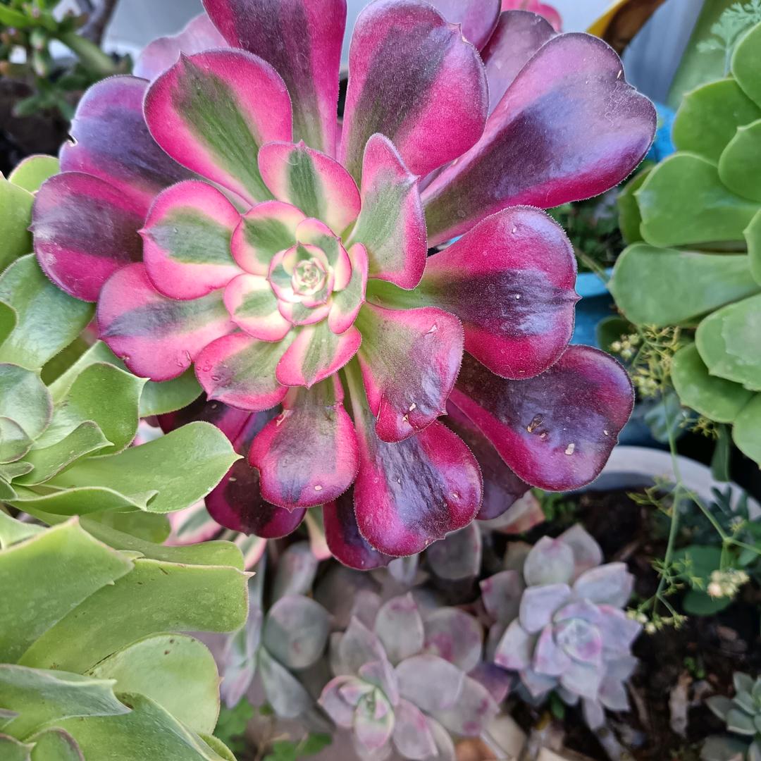 自己活的更精彩