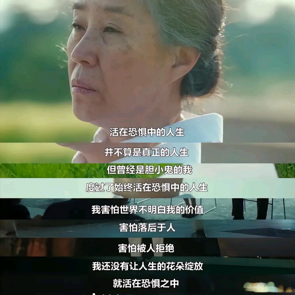 我与我周旋久头像
