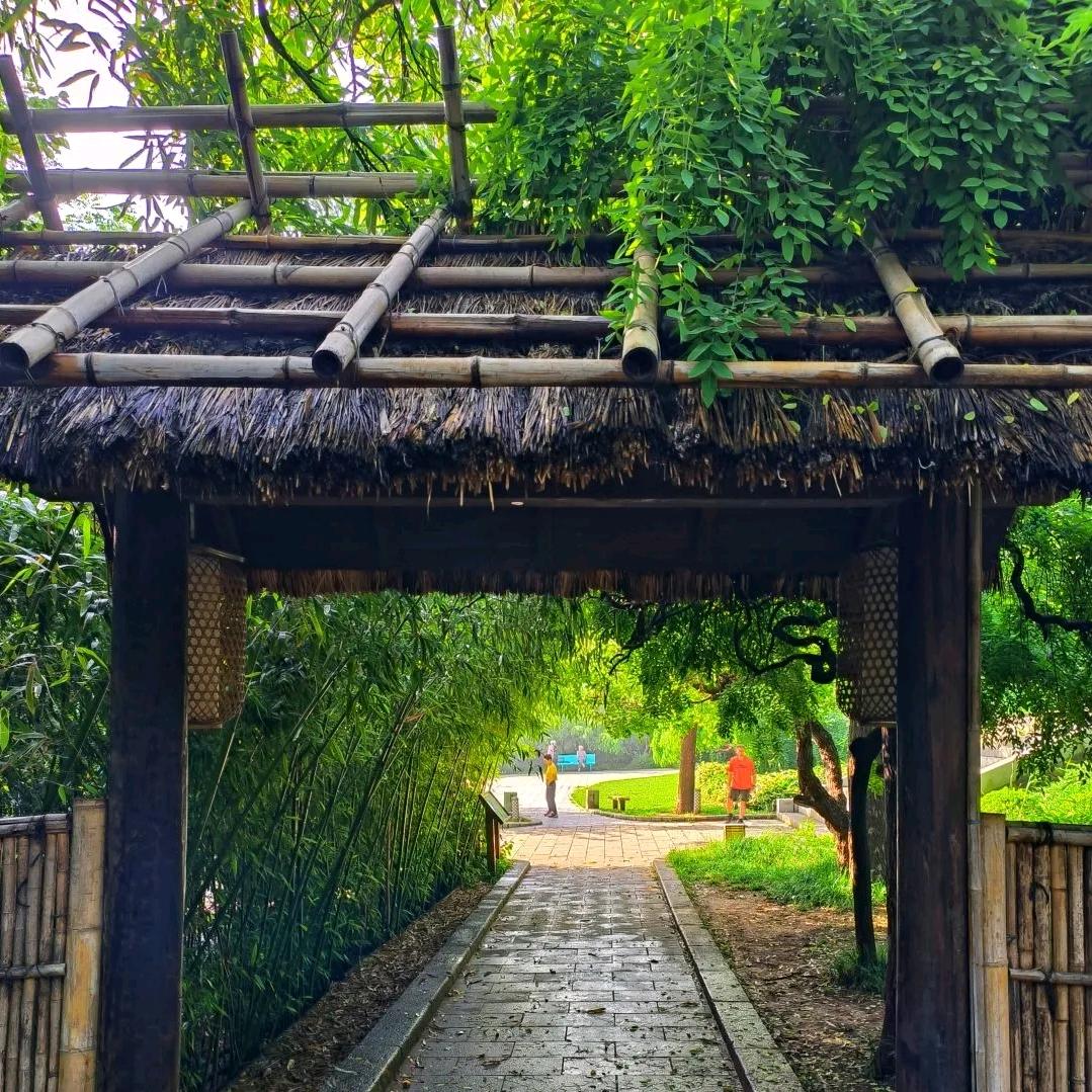 自在独行🇨🇳