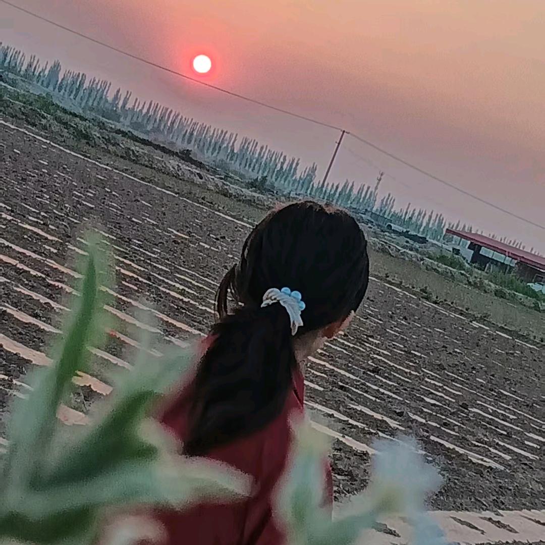 芙蓉.（彳亍）
