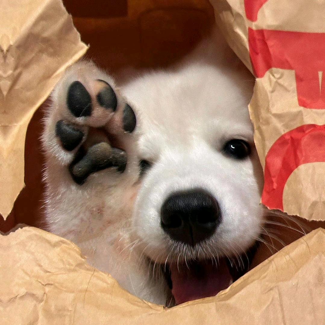今夜好眠💤