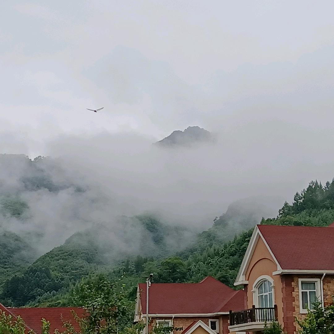 小心心