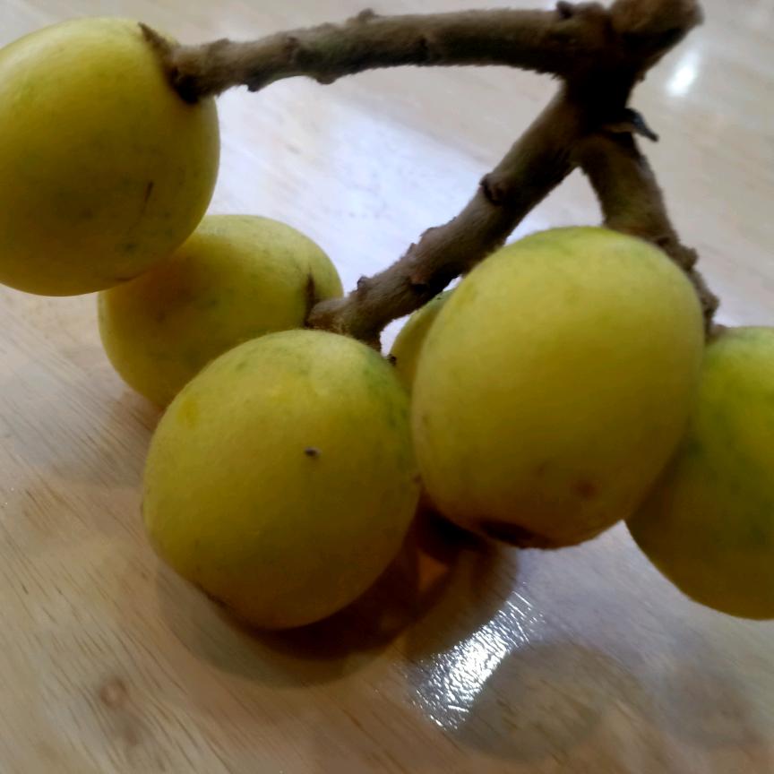 死猪🐷不怕开水烫