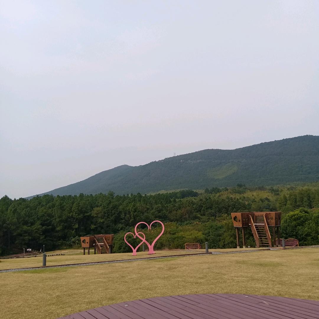 限量版