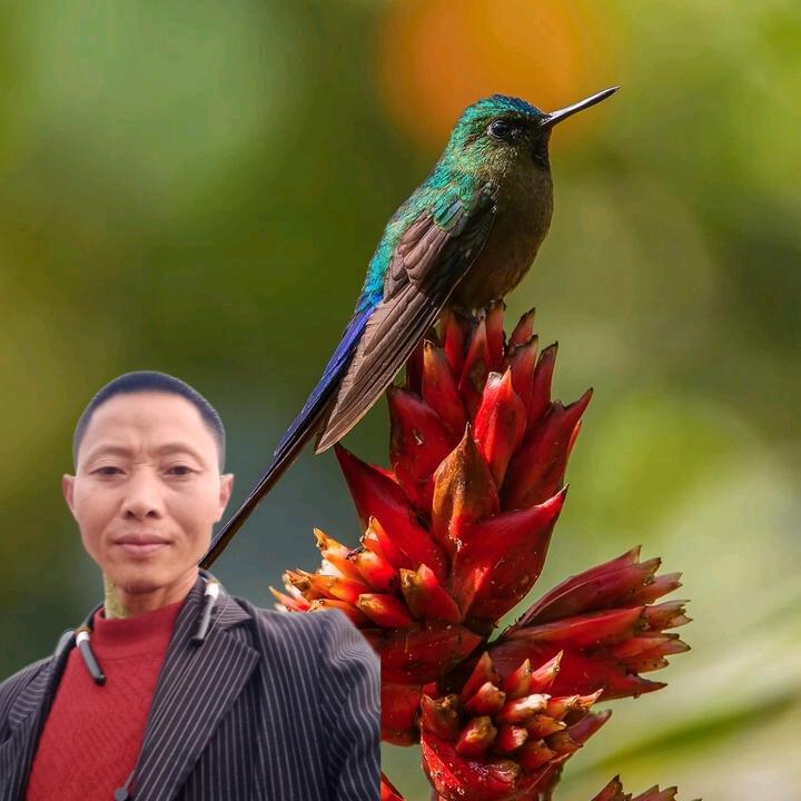 心想事成阿东