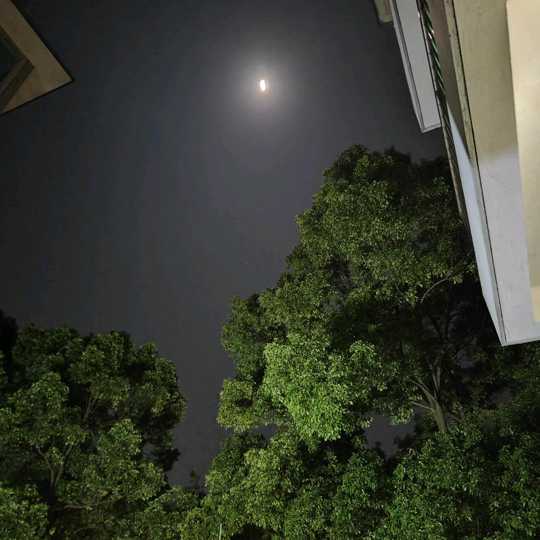 @一辈子究竟什么最好🎧 🎧 ⸜₍๑•