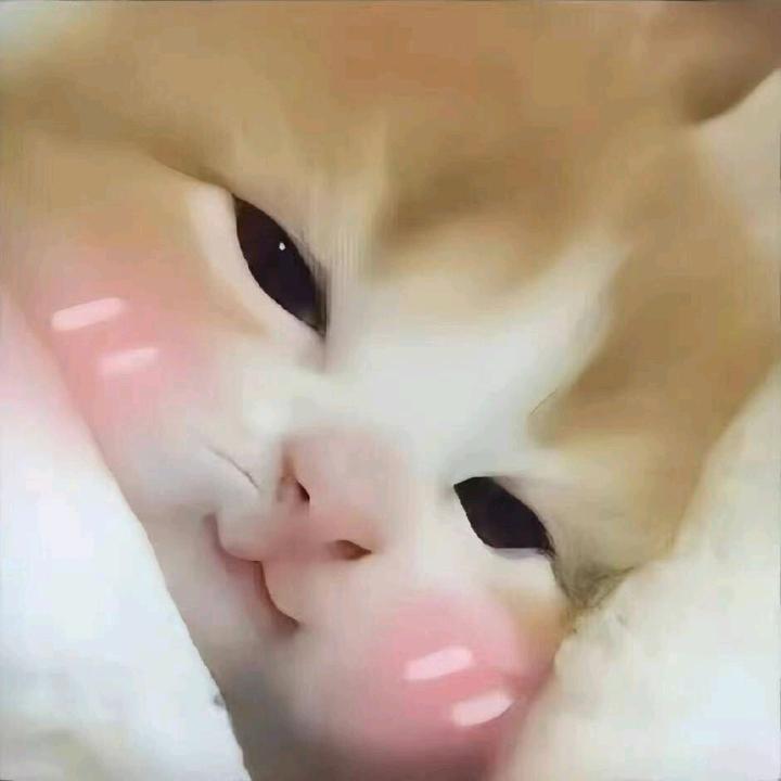 -71mlkiajK