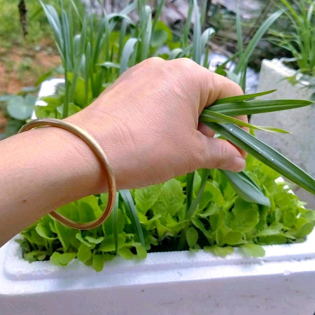粉红色的回忆