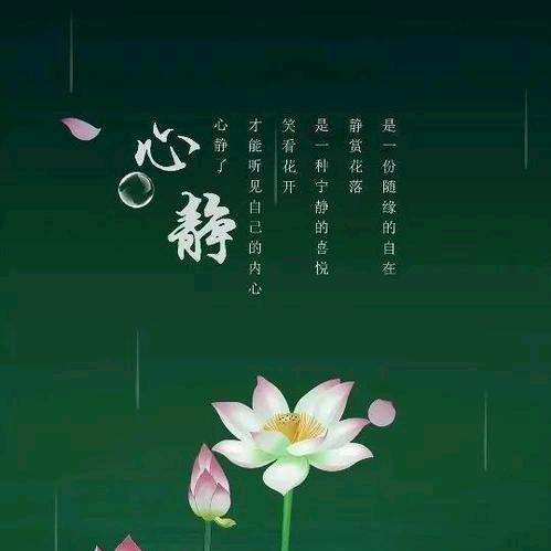 孟州市旺香厨焖炒鸡餐饮服务店