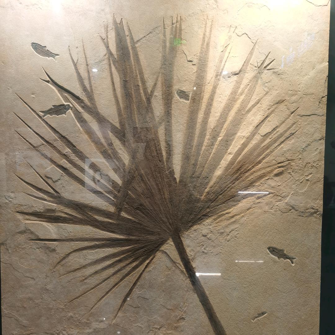 南京仿真绿植造景～🇨🇳