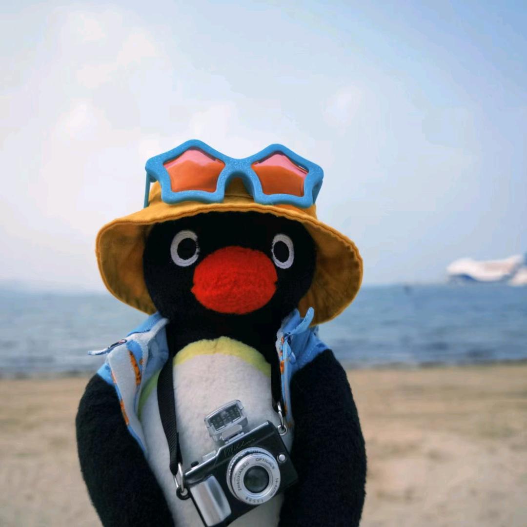 巡山访海