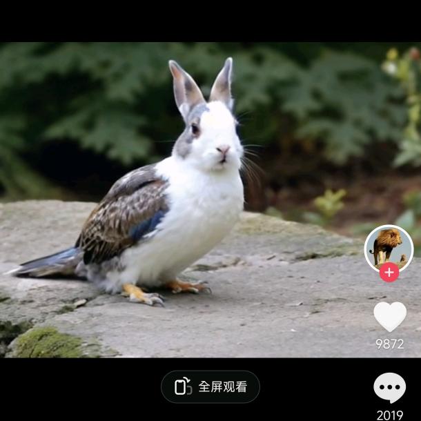 方哥要赚钱