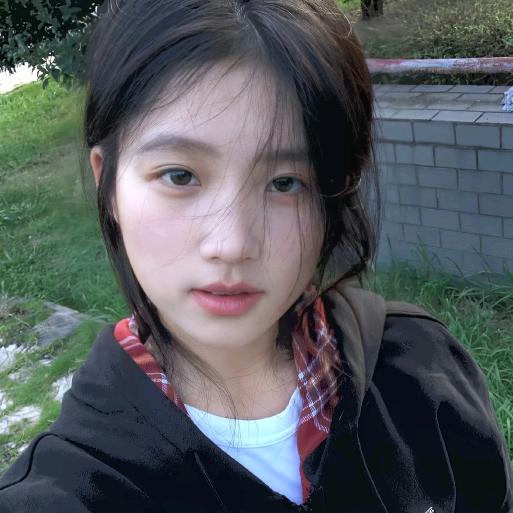 24k纯帅的霸王龙战士