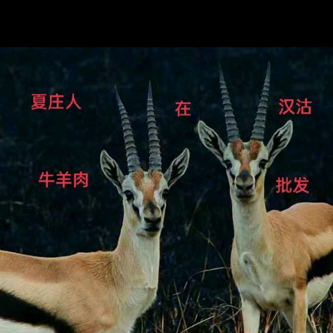 夏庄人在汉沽