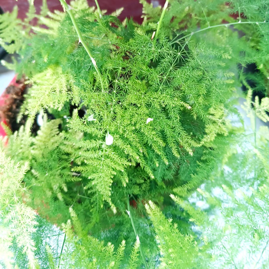 郝运~降临