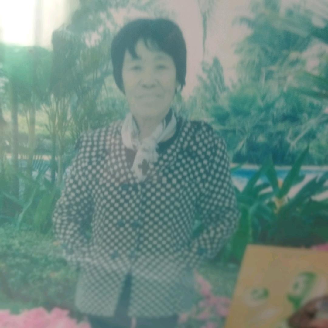 小v是新手呀