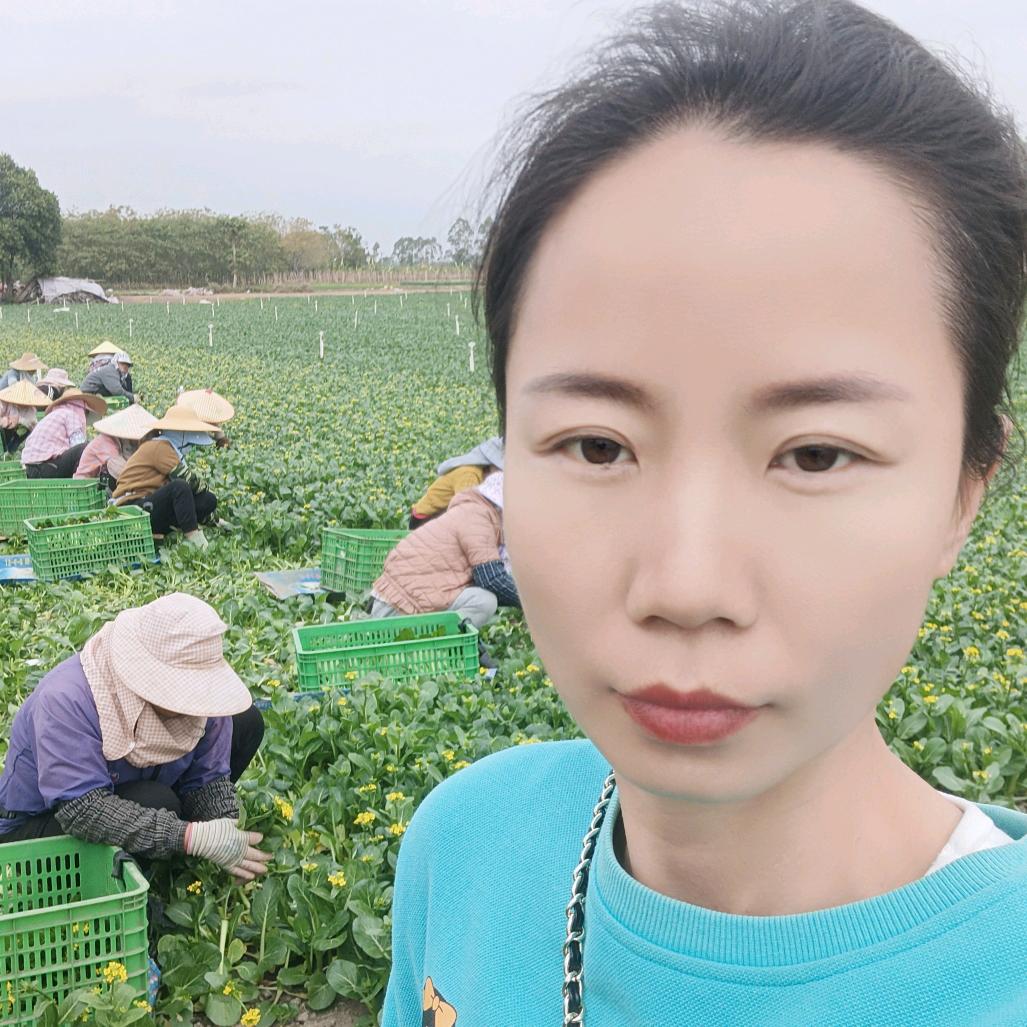 ╭(╯轩轩💐🌹╰)╮