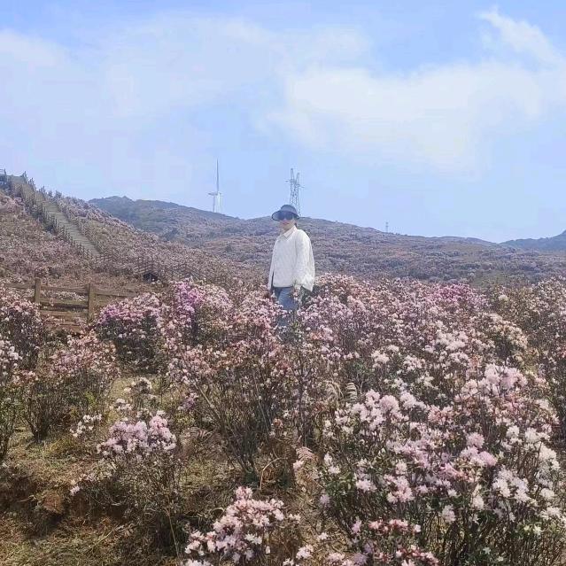 容姐