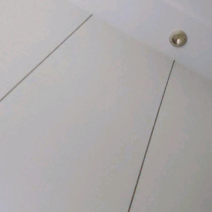 恢复的
