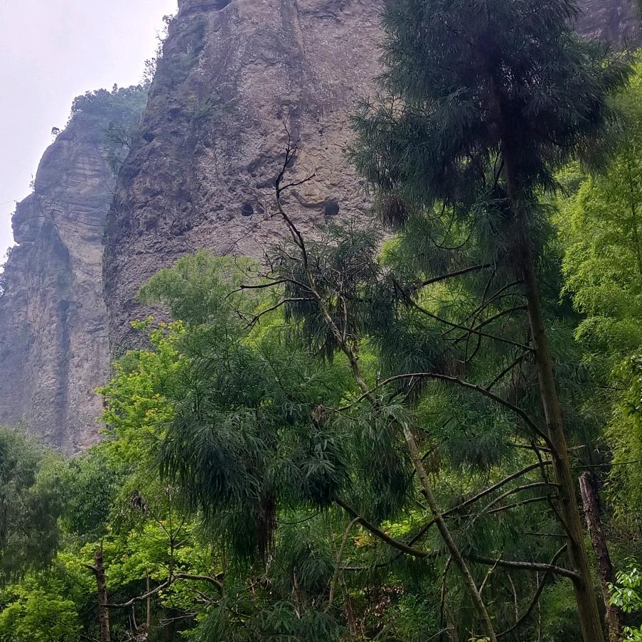 张飞