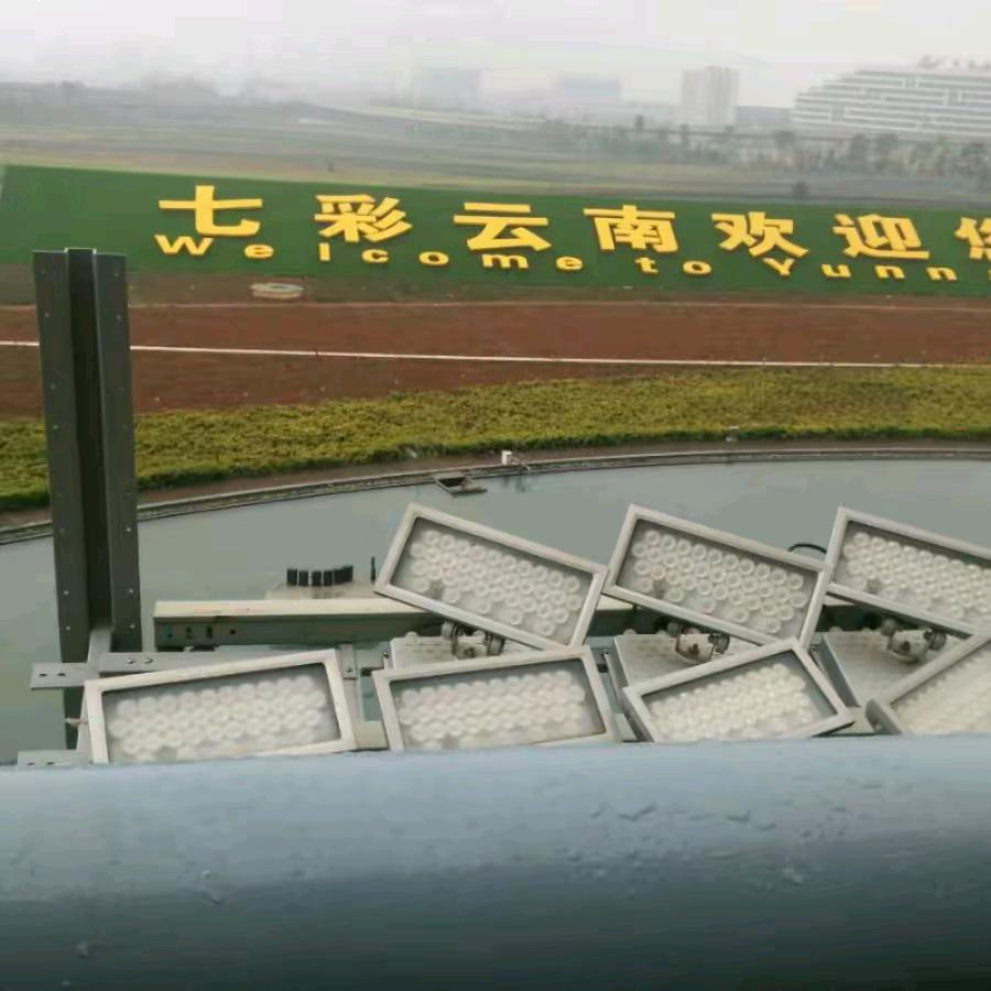 杨明，哥
