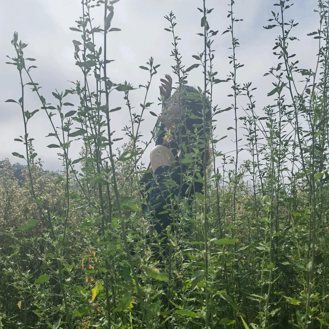 慧美吖