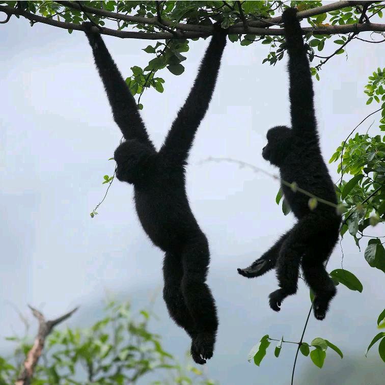 阳春市小勇君广告制作中心