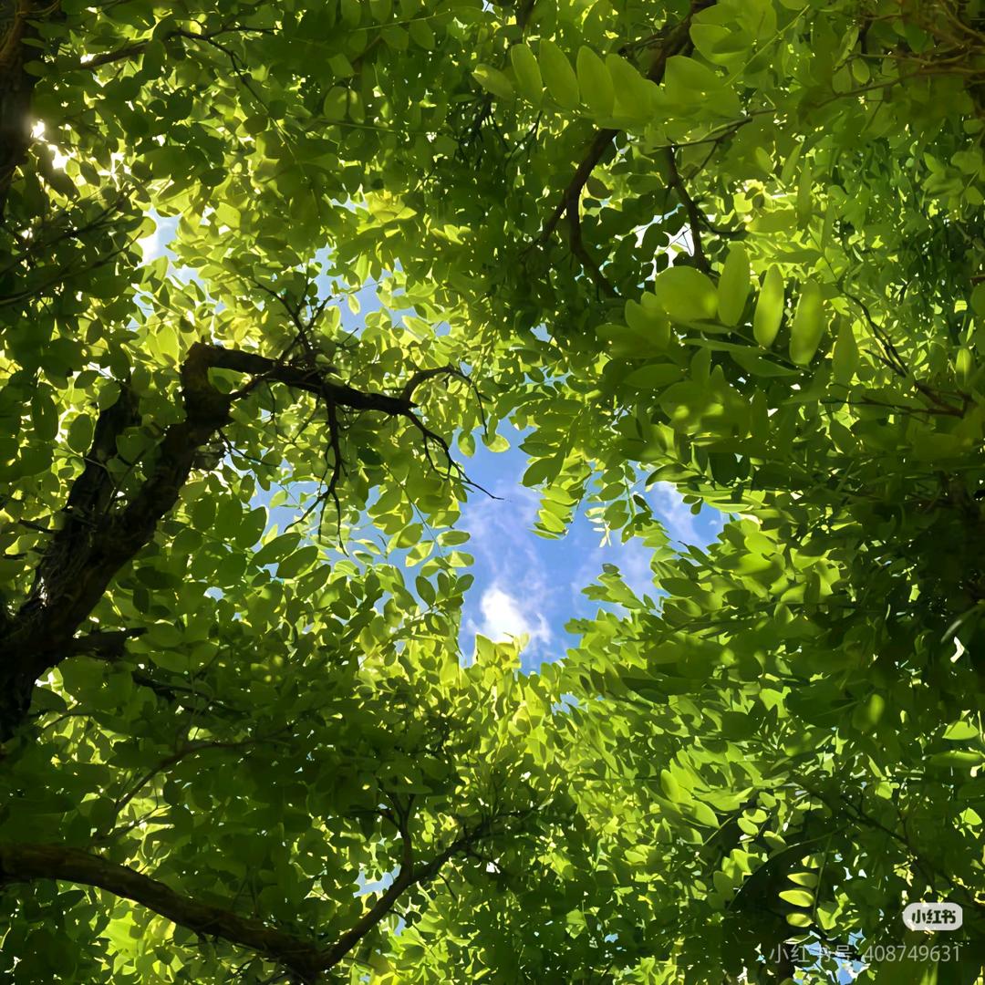前方绿豆沙