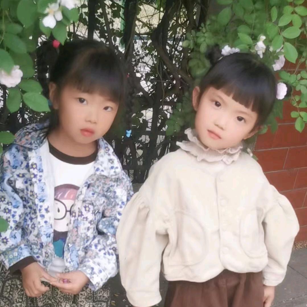 蒂苇公司在左右号