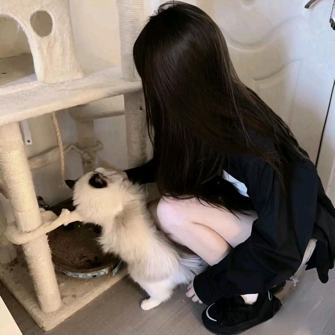 无敌一一酱