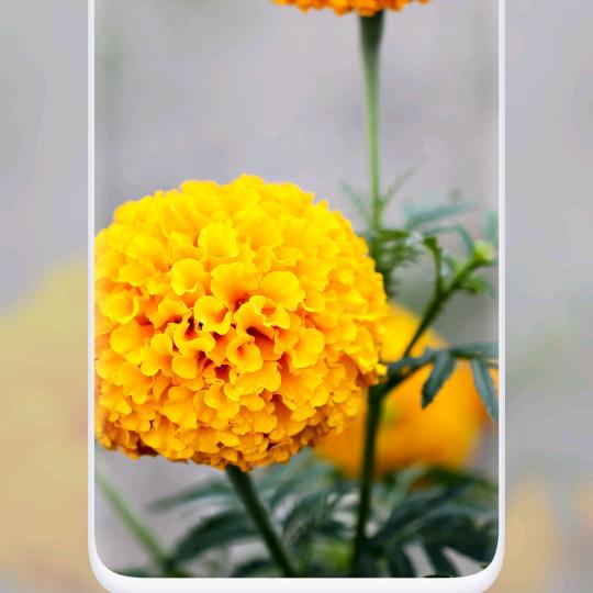 甘苦与共  携手同行