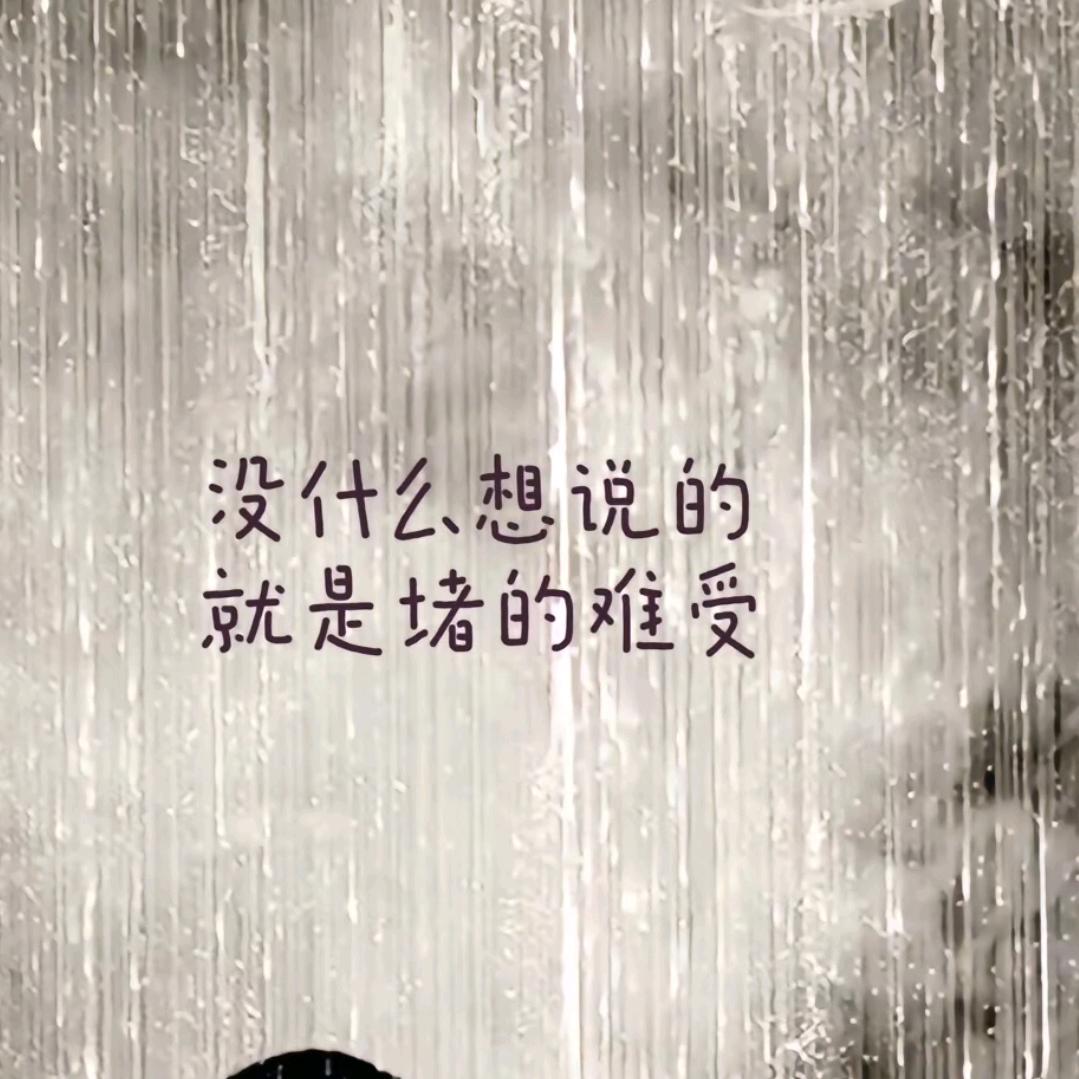 ❤️沈姑娘❤️