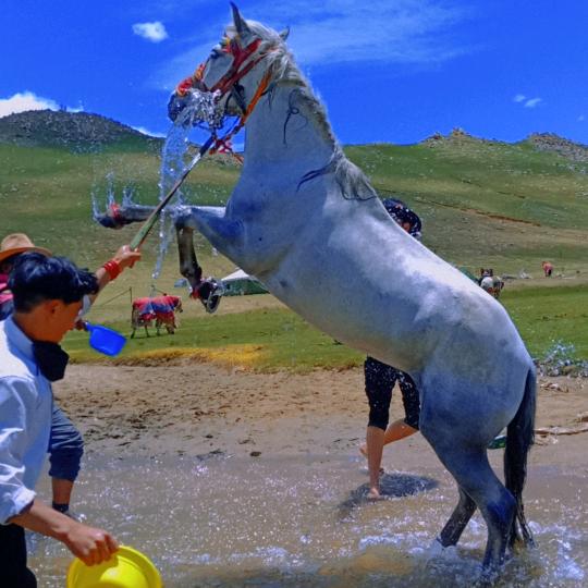 སོག་རུ། 贡嘎
