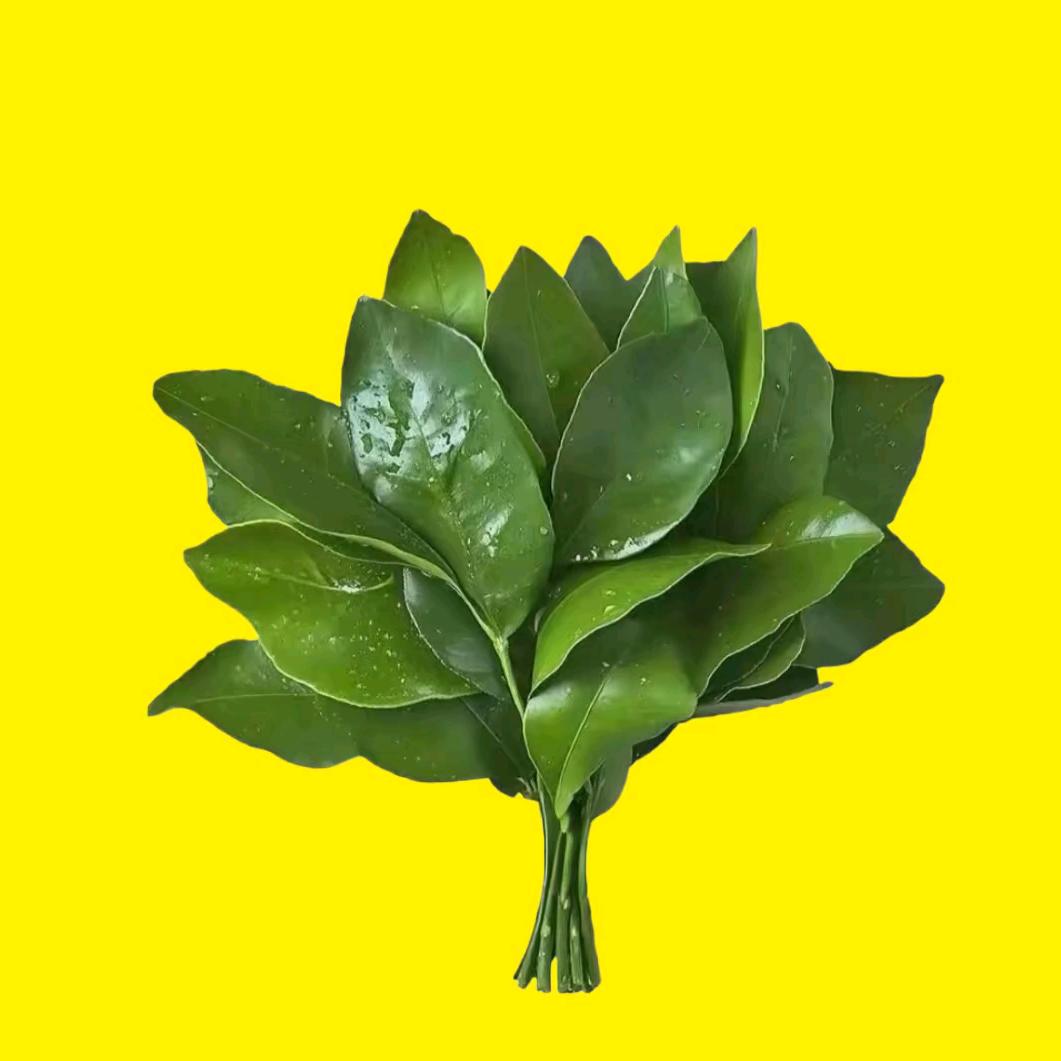 合肥市瑶海区琳琳九烘焙店