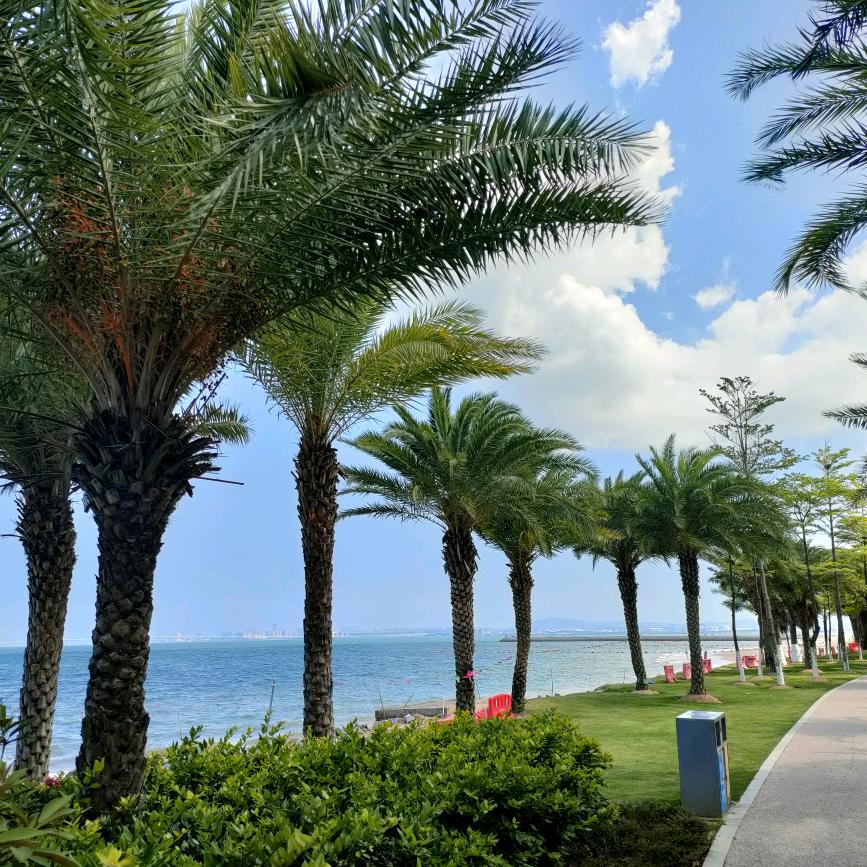 用户厚德载物1642081378537